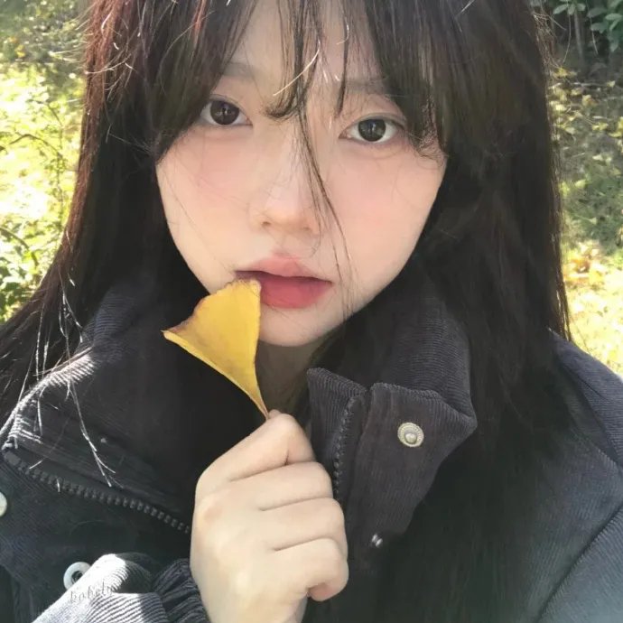 佳人送我置山巅